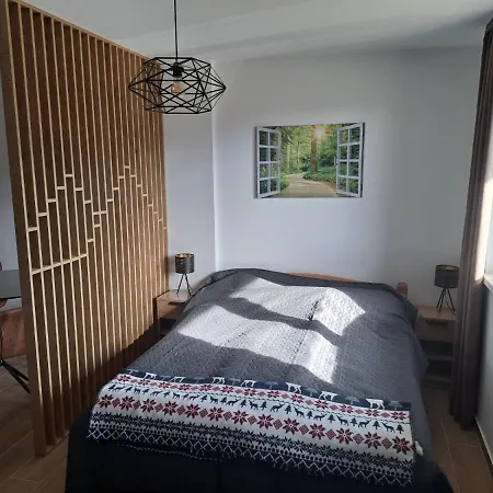 Twin Mountain Apartment Kopaonik Exterior photo
