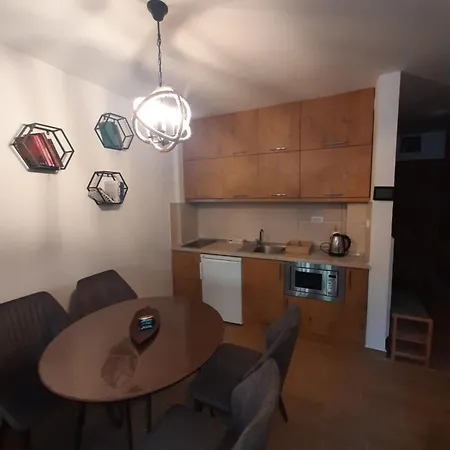 Twin Mountain Apartment Kopaonik Exterior photo