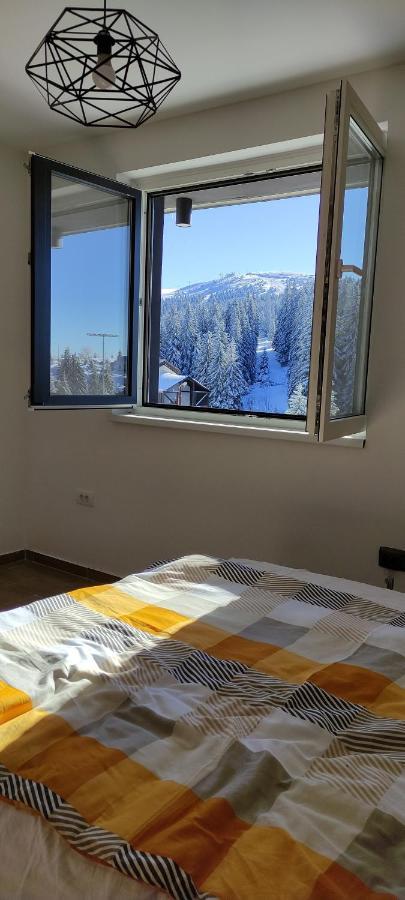 Twin Mountain * Kopaonik